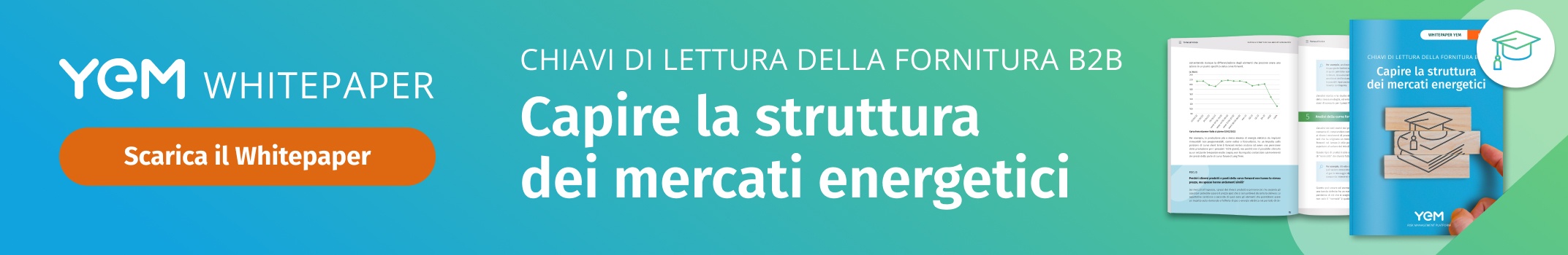 Come la morsa monopolistica di  danneggia i venditori indipendenti  europei